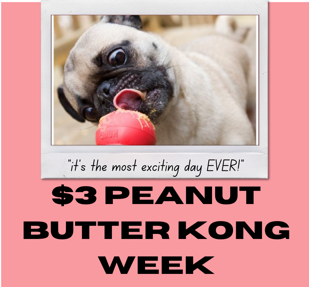Peanut Butter Kong Week Eau Claire