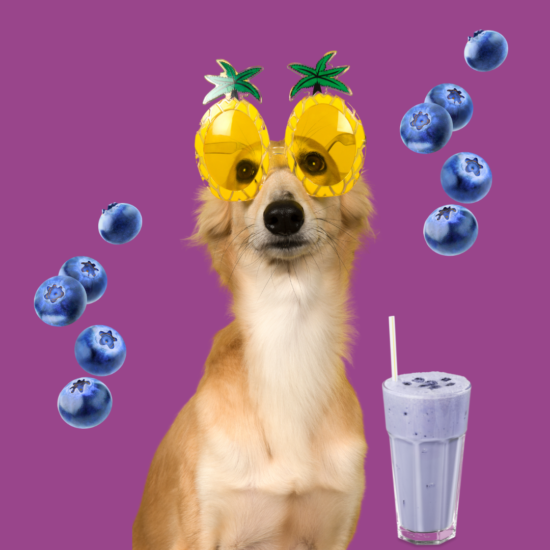 Spring Fling Week Blueberry Smoothies! Eau Claire