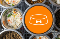 image displaying different types of dog food in bowls. Kibble and rice mixtures.