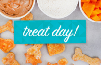 text that reads treat day with snacks displayed