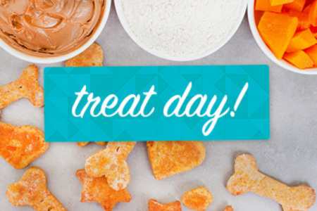 text that reads treat day with snacks displayed