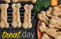 treats with the words "treat day"