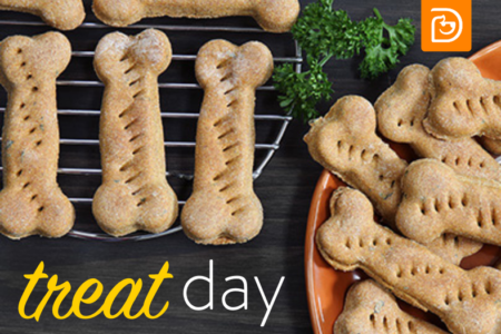 treats with the words "treat day"