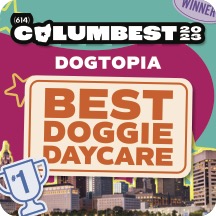 Columbest Dogtopia Best Doggie Daycare