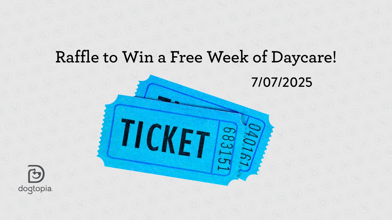 Raffle to Win a Free Week of Daycare - Columbus-Downtown
