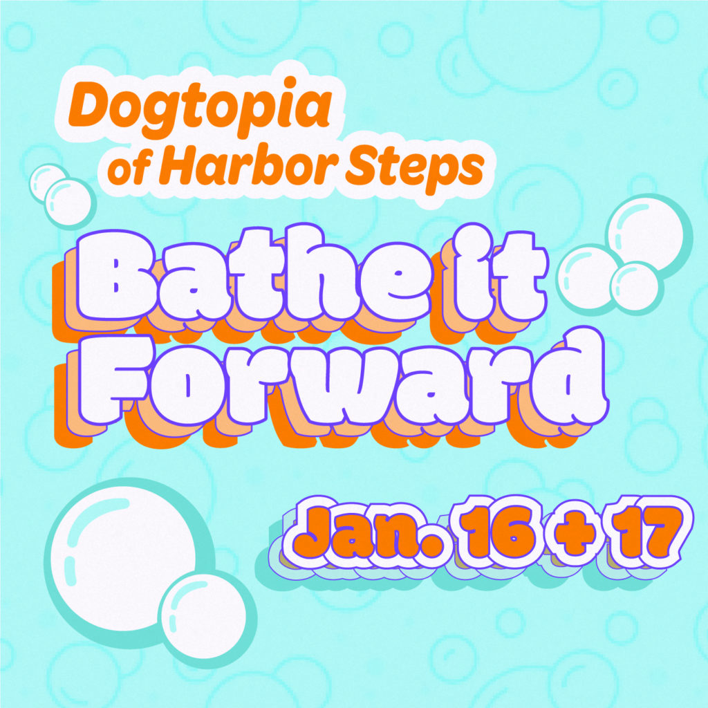 Bathe it Forward Harbor Steps