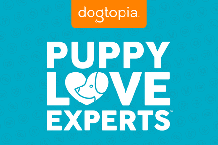 Dogtopia the Puppy Love Experts