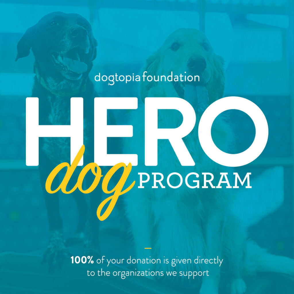 Dogtopia Foundation Hero Dog Program
