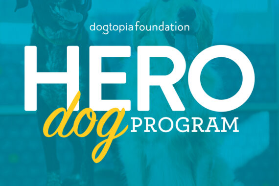 Dogtopia Foundation Hero Dog Program