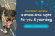 Happy black-and-white dog looking up at the camera with fireworks graphics and text promoting a stress-free Fourth of July overnight dog boarding stay.