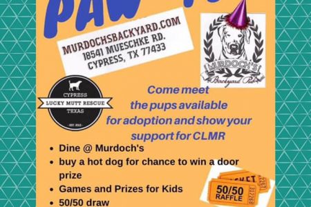 Cypruss Lucky Mutt Adoption