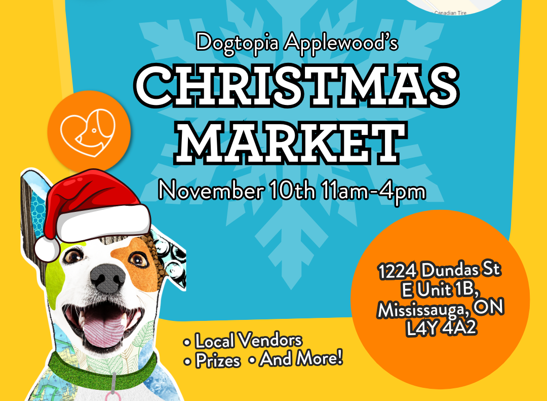 DT Applewood Christmas Market Applewood