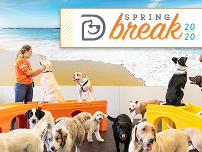 Dogtopia Warwick Spring Break Week