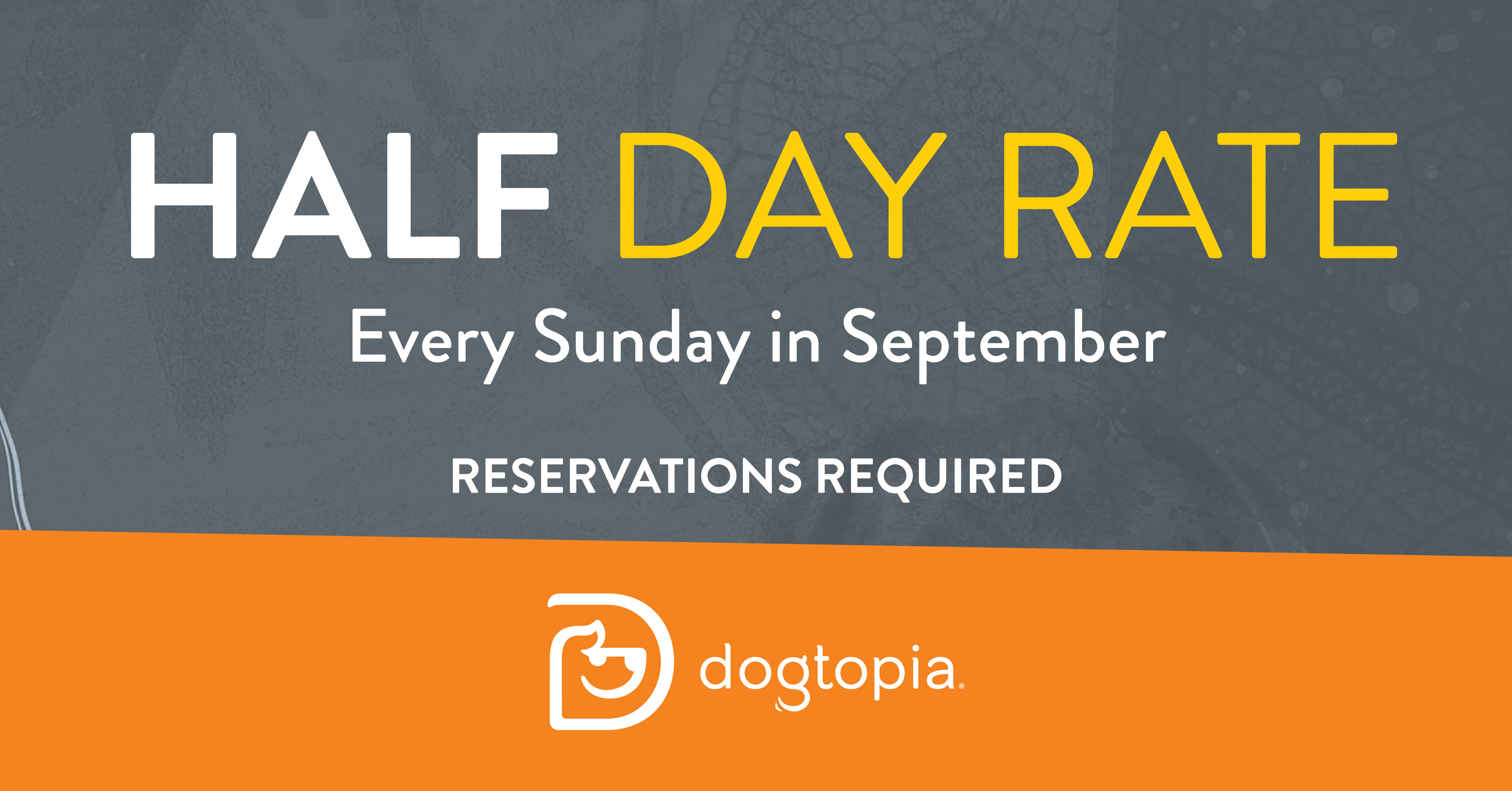 Half Day Daycare Rate Sundays in September Warwick