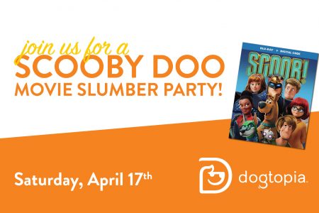 Slumber Party Dogtopia Warwick