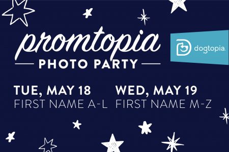 Dogtopia Warwick Promtopia Party