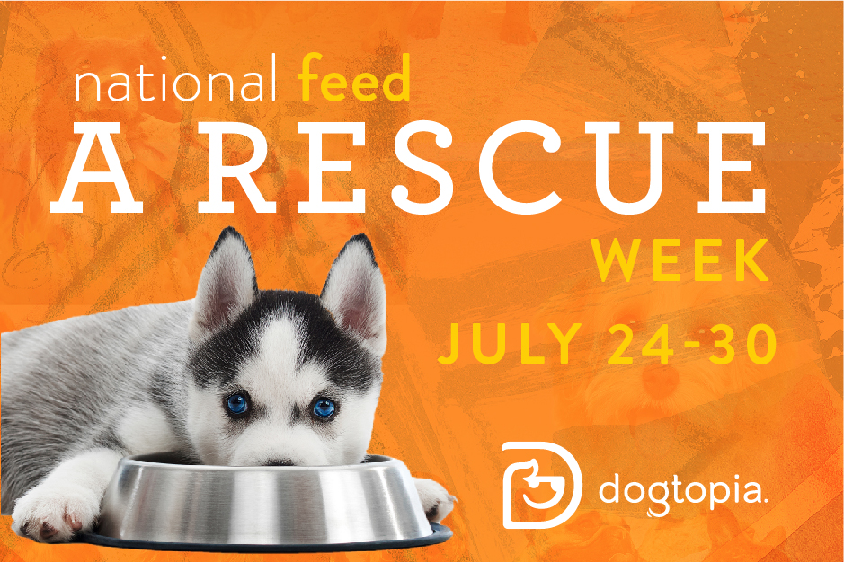 National Feed A Rescue Pet Week National Feed a Rescue Week - Warwick