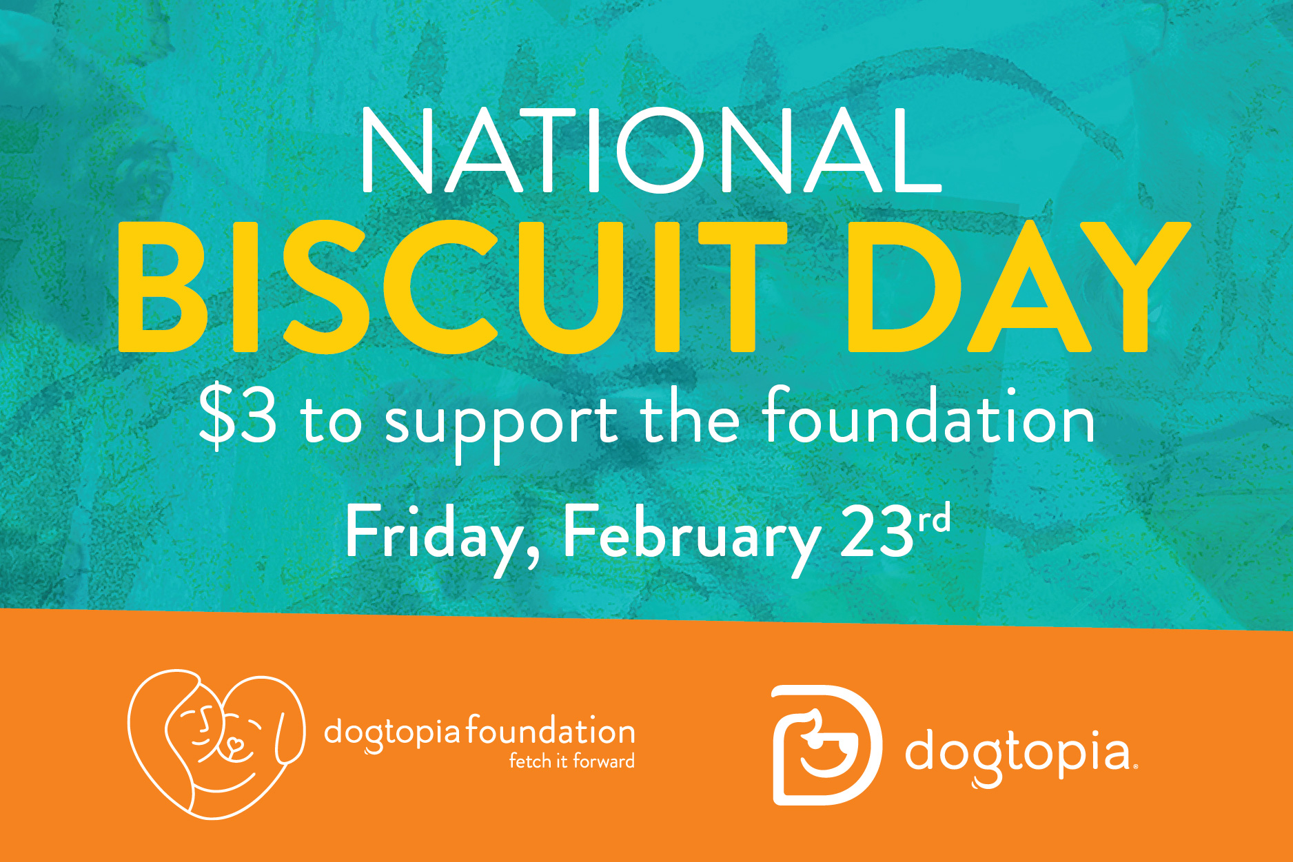 3 National Dog Biscuit Day Warwick 3-national-dog-biscuit-day-warwick
