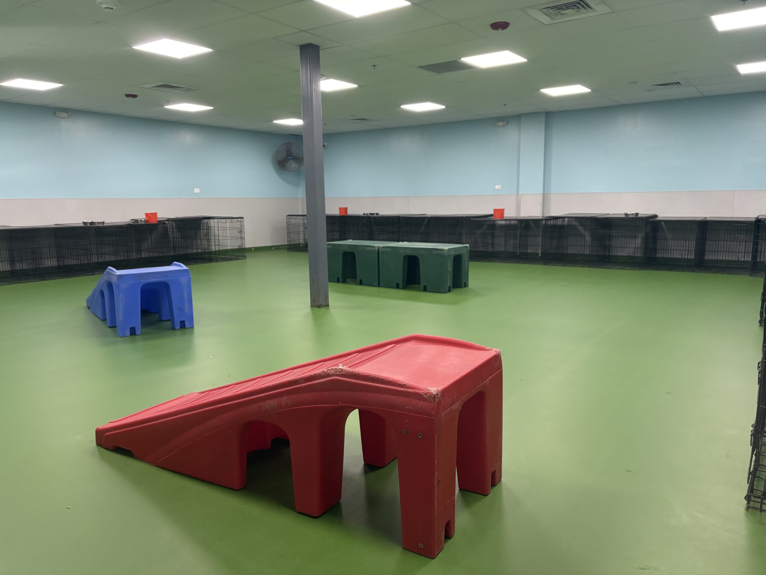 mount Kisco Playroom