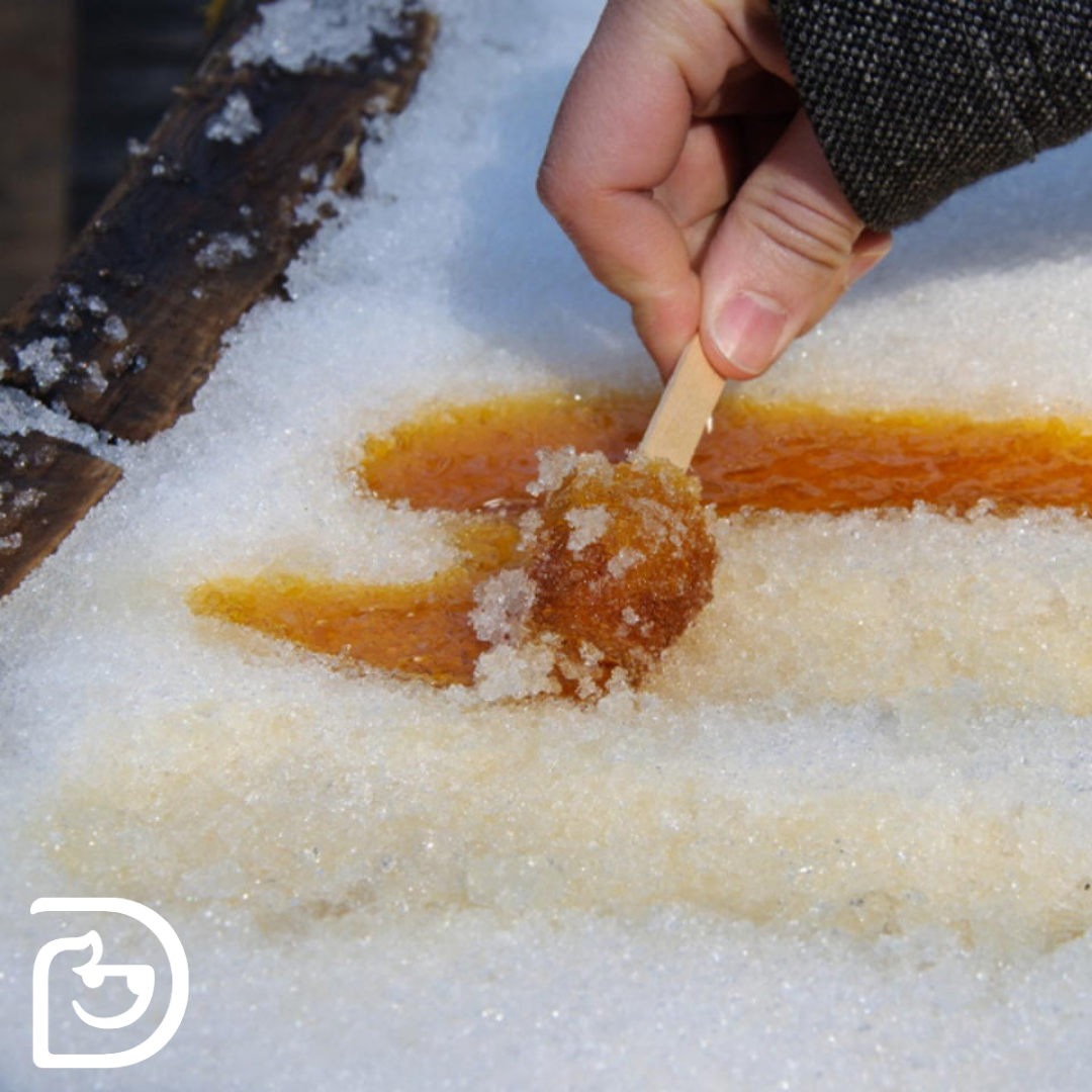 National Maple Syrup Day! Barrie