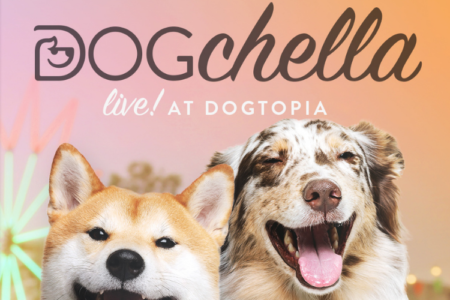 dogchella-music-festival