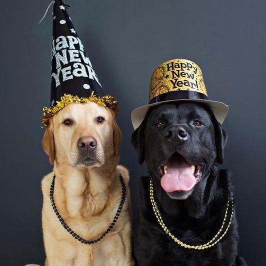 New Year&#039;s Eve Photo Booth &amp; Party - South Waterfront