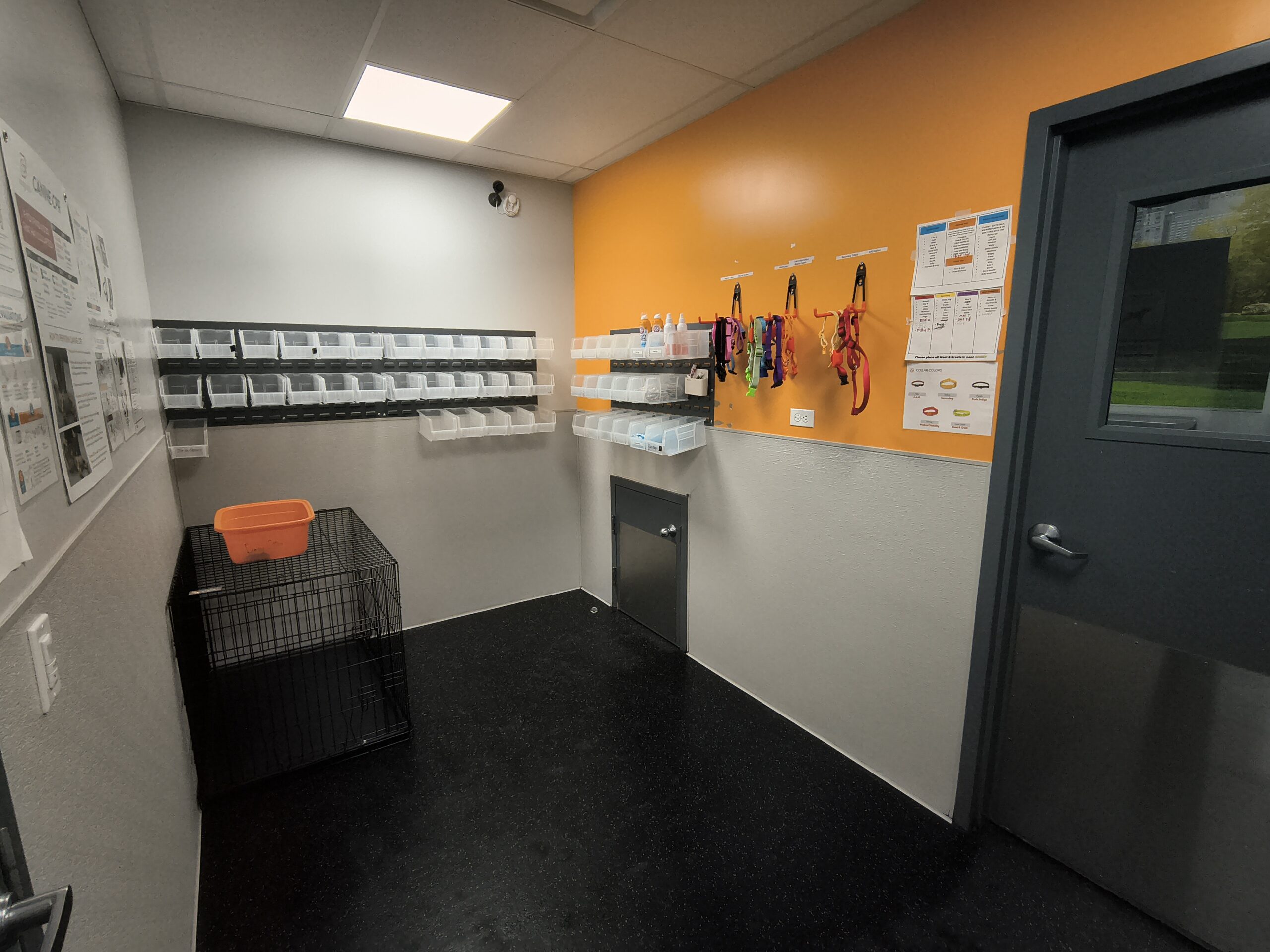 Lake Oswego Eval Room