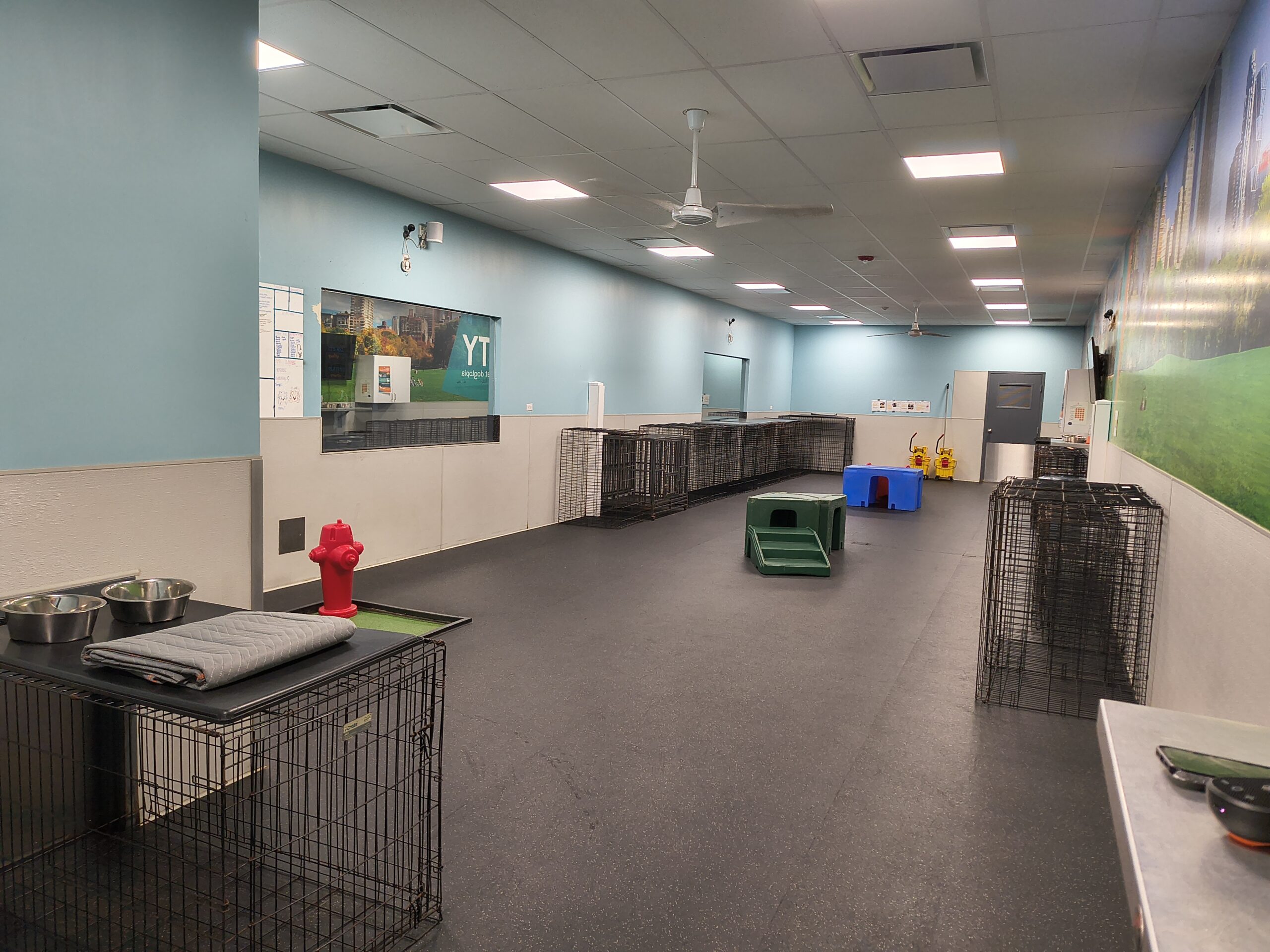 Lake Oswego Playroom