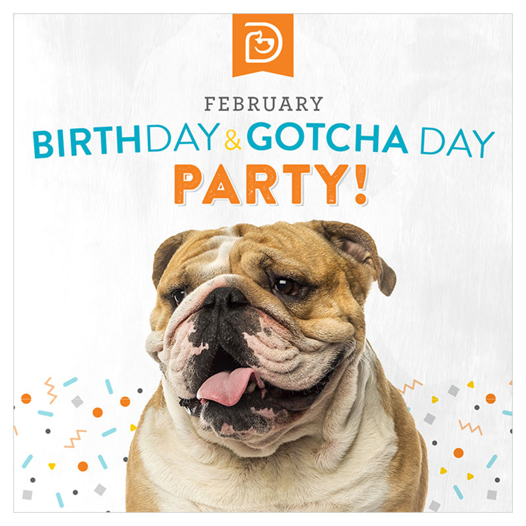 Birthday/Gotcha Day! - Port Chester