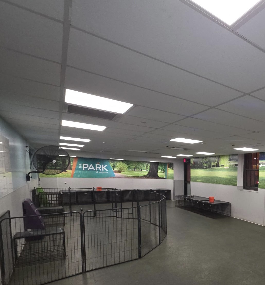 Stamford Playroom