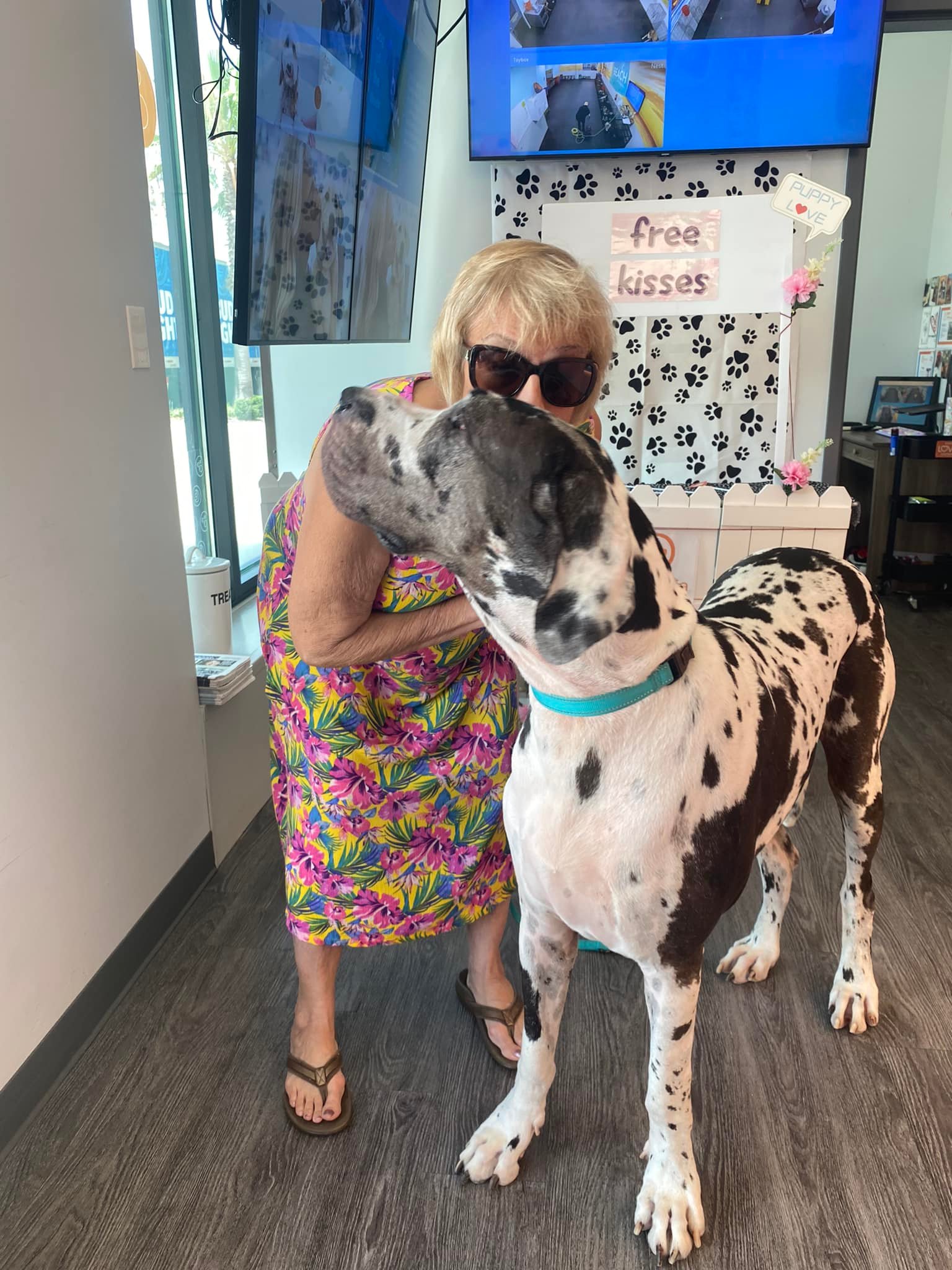 Great Dane Day Viera