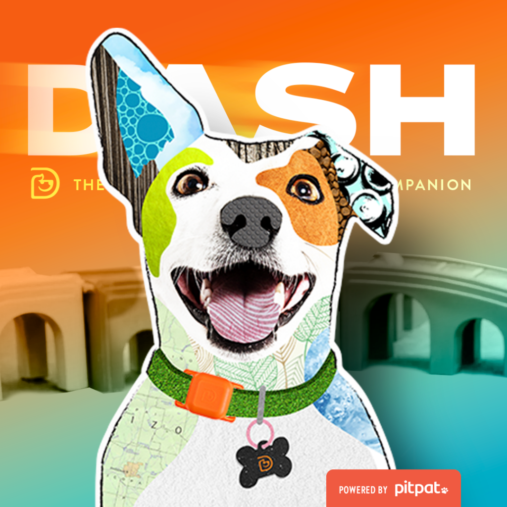 Boost Your Pup’s Health This Canine Fitness Month with Dogtopia and DASH