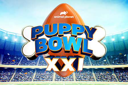 Puppy Bowl XXI - Viera