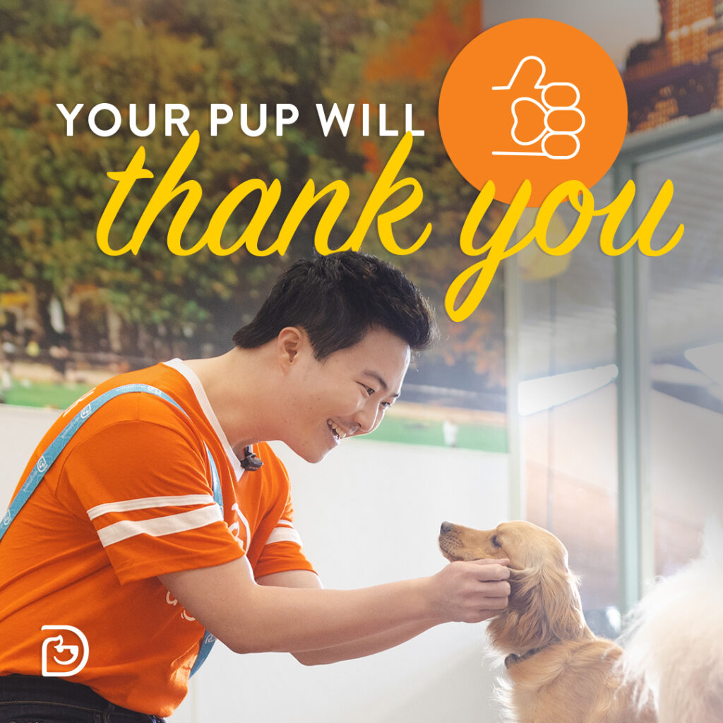 your pup will thank you