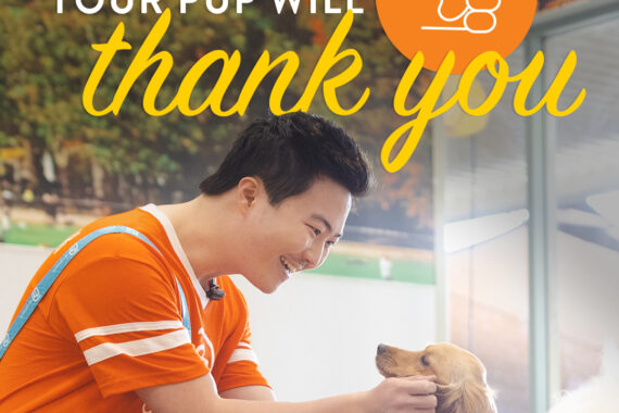 your pup will thank you