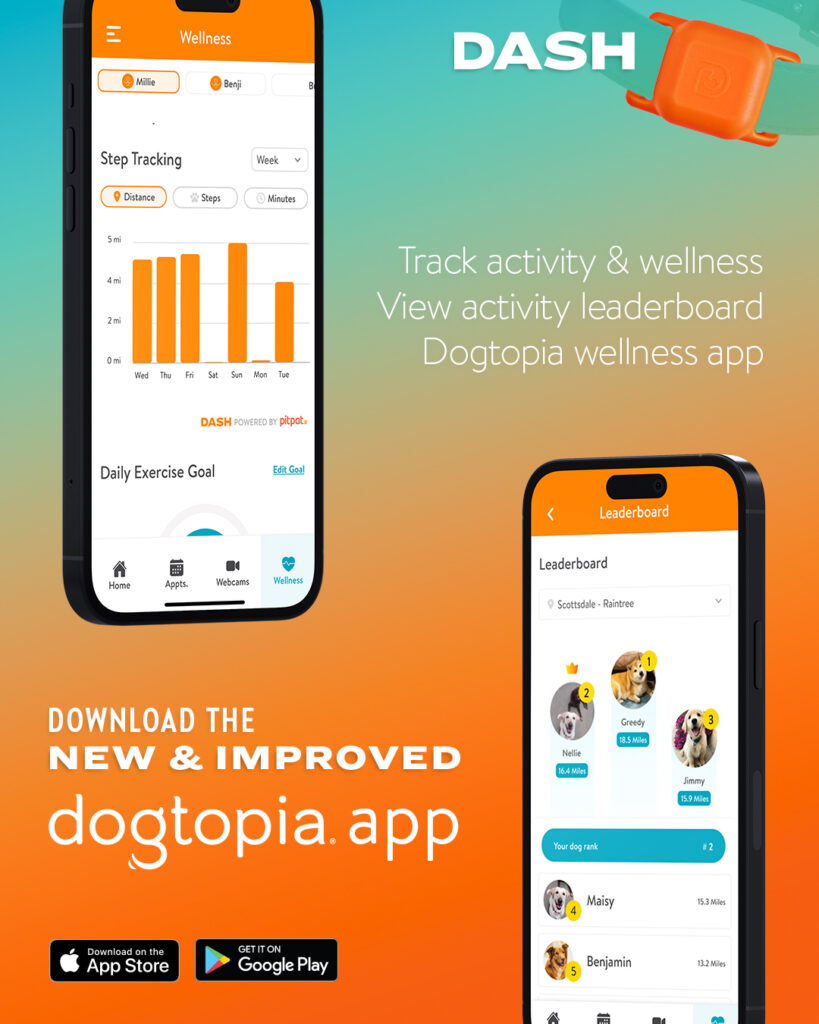 DASH app update