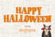 dog halloween fun