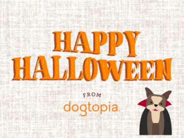 dog halloween fun