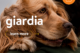 Giardia information