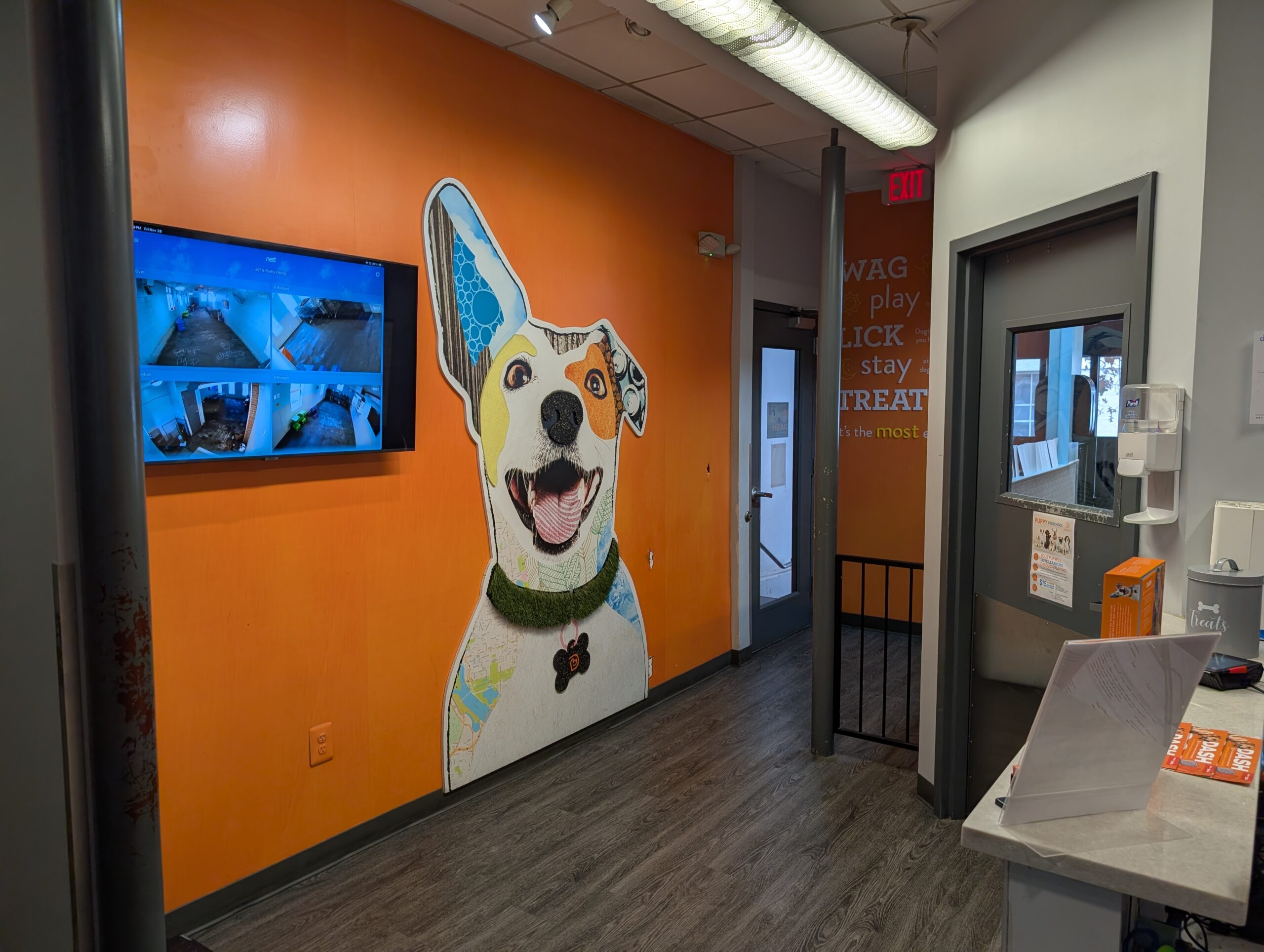 Dogtopia Lobby