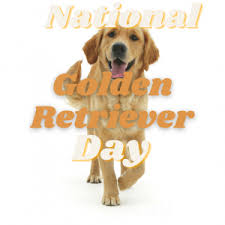 National Golden Retriever Day! - Milford