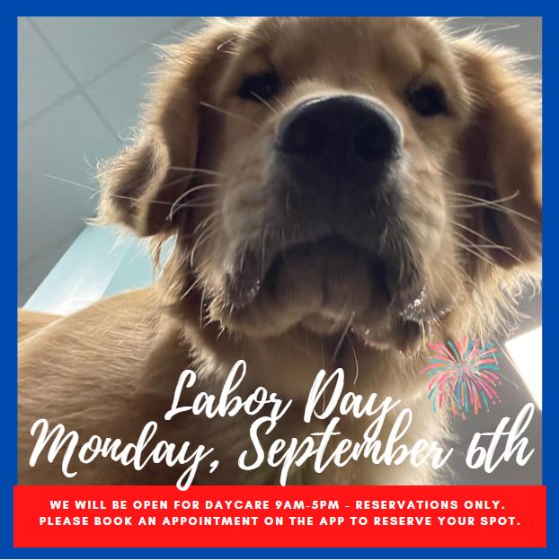 Open for Labor Day Daycare Plymouth