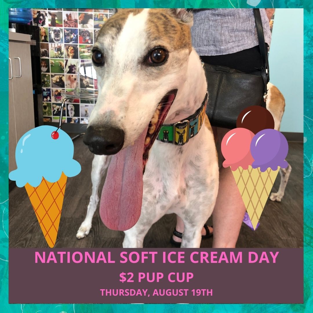 National Soft Ice Cream Day Plymouth