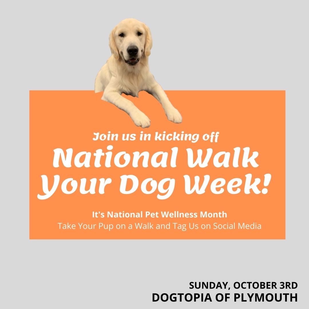National Walk Your Dog Week KickOff Plymouth