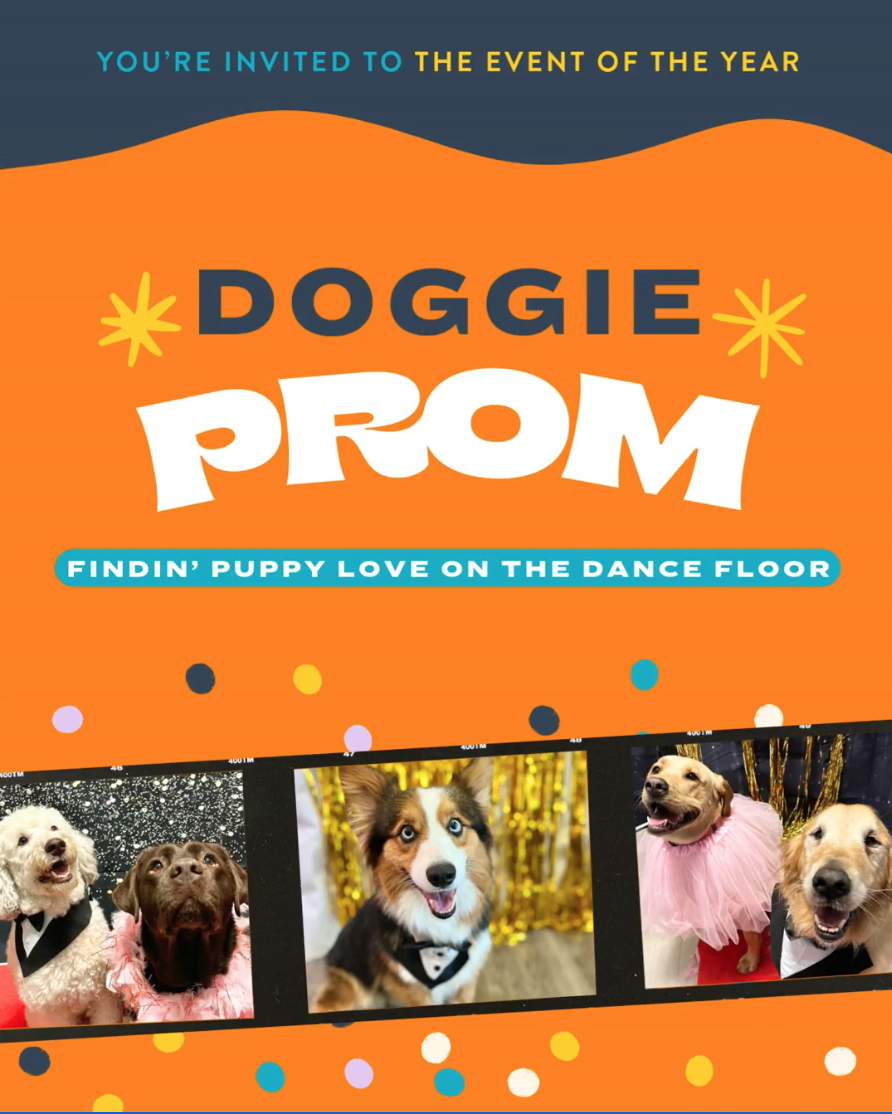 Dog Prom - Belden-Canton