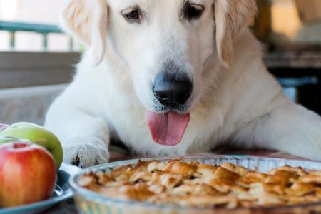Pi Day