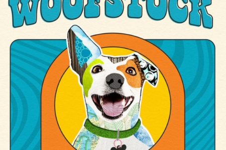 groovy day at Dogtopia of Maplewood