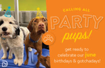 June Birthday Bash