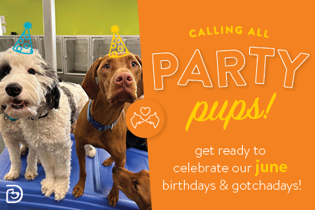 June Birthday Bash
