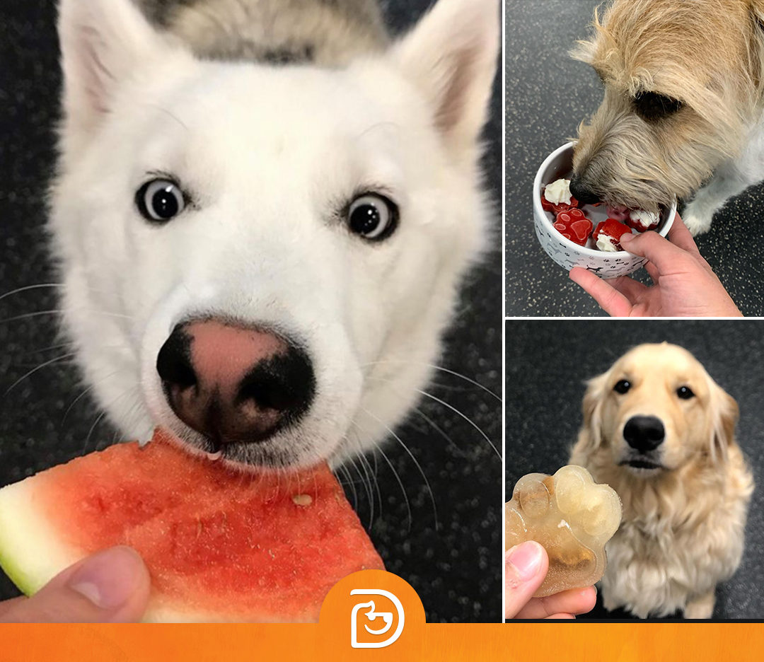 National Frozen Yogurt Day Bethpage